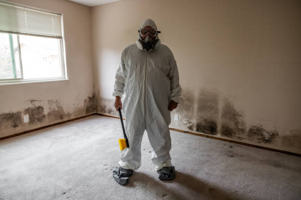 Duquesne, PA Mold Inspection, Removal & Remediation Company